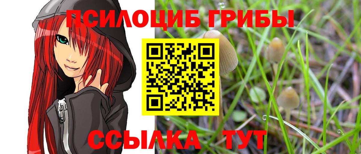 Коммунар  Псилоцибиновые грибы мухоморы  Вход с VPN  Галлюциногенные грибы прущие грибы 