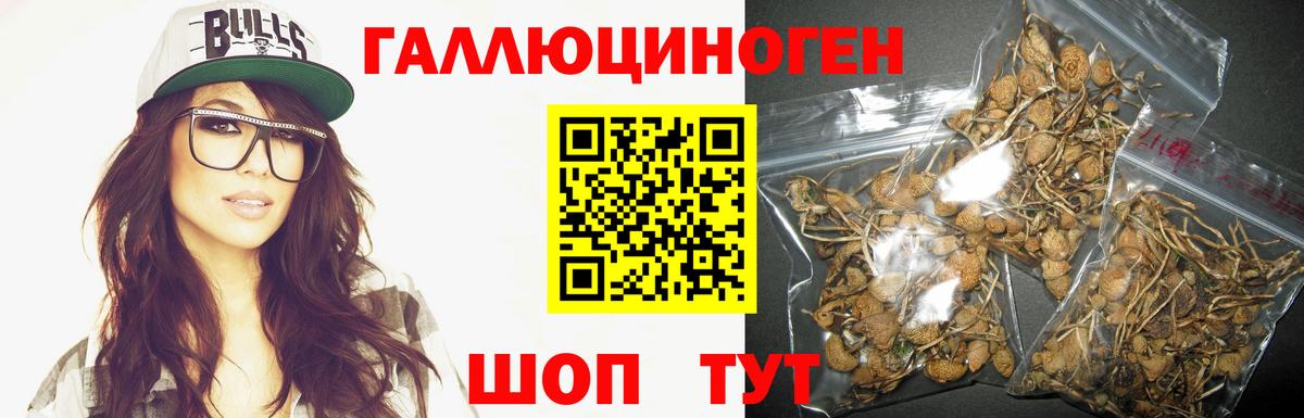 Галлюциногенные грибы Cubensis Коммунар
